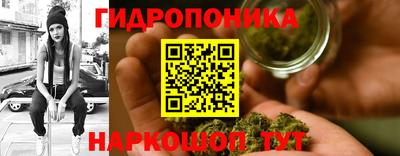 гидропоника Пугачёв