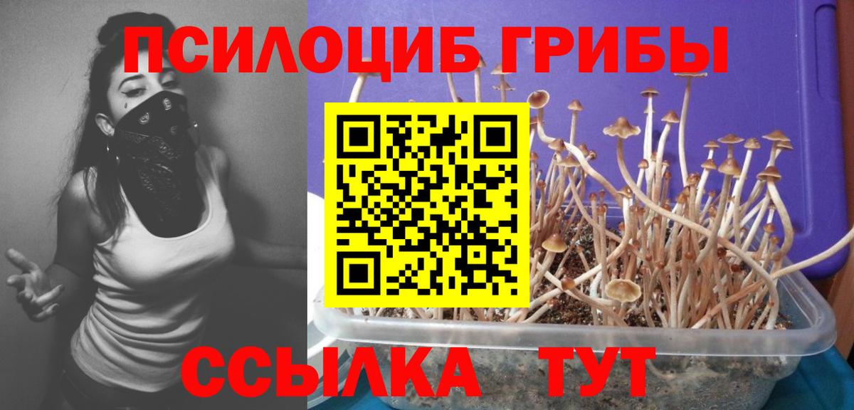 Галлюциногенные грибы GOLDEN TEACHER  Галлюциногенные грибы GOLDEN TEACHER  Спасск-Дальний  Вход с VPN 